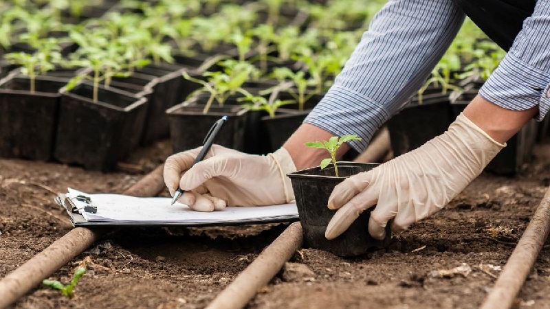 regenerative-agriculture-market